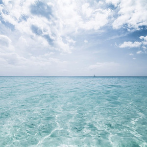 A级成人毛片视频
